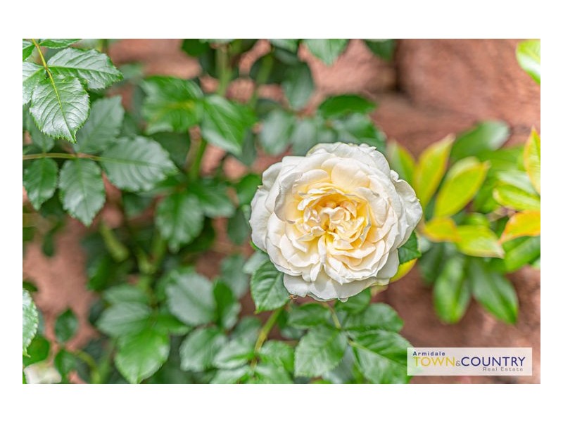 23 Norris Drive, Armidale NSW 2350