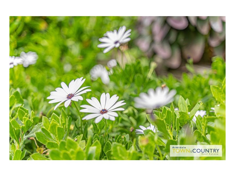 23 Norris Drive, Armidale NSW 2350