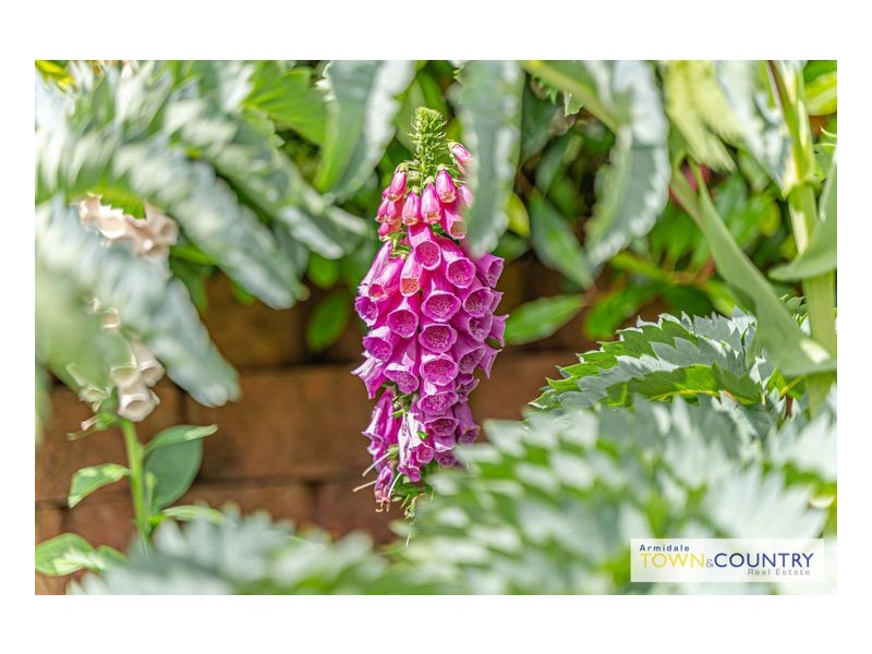 23 Norris Drive, Armidale NSW 2350