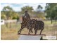 36 Dangarsleigh Road, Armidale NSW 2350