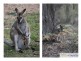 880 Rockvale Road, Armidale NSW 2350
