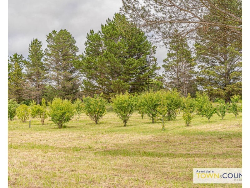 23 O’Connell’s Road, Armidale NSW 2350