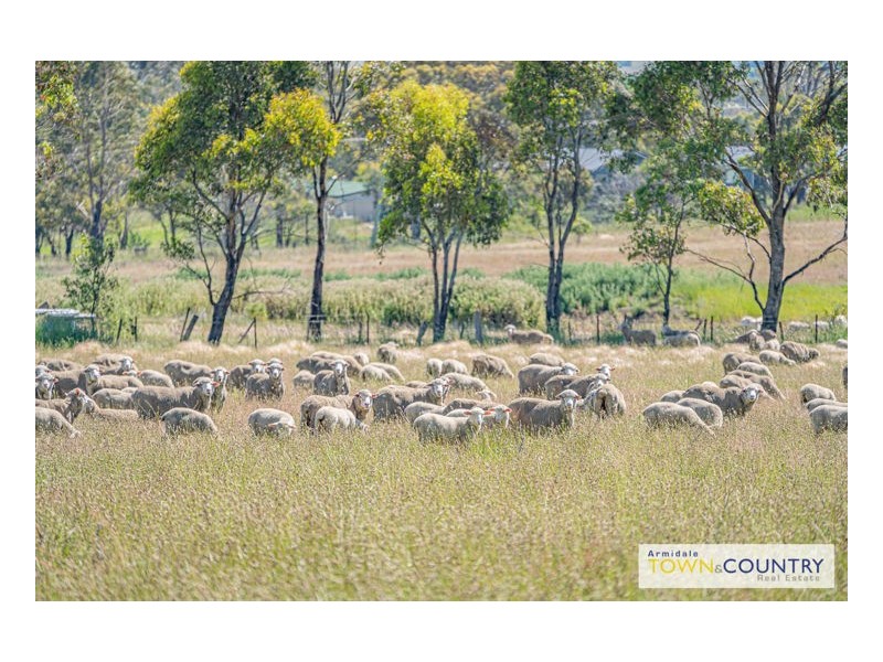 230 Cluny Road, Armidale NSW 2350