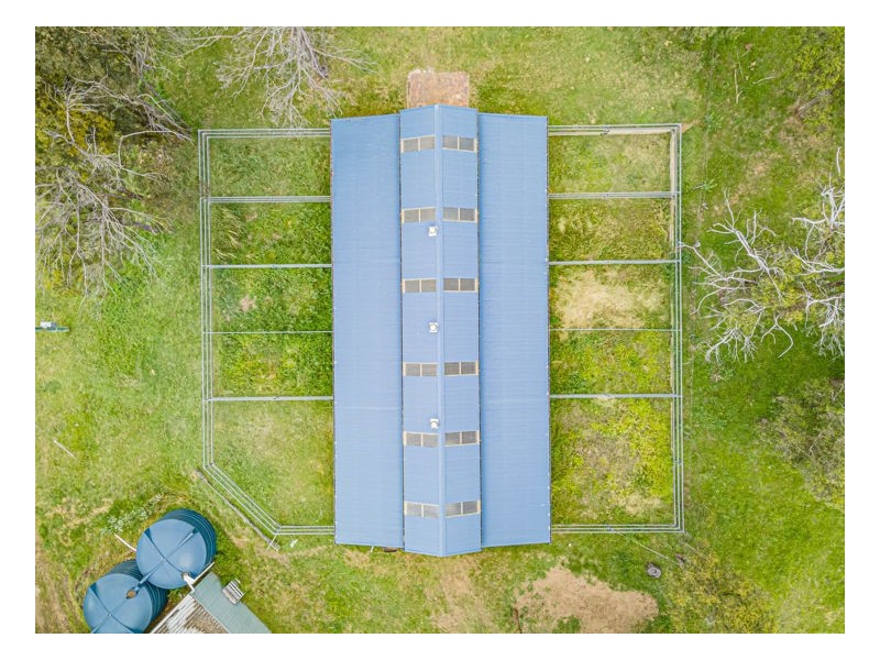1218 Bundarra Road, Armidale NSW 2350