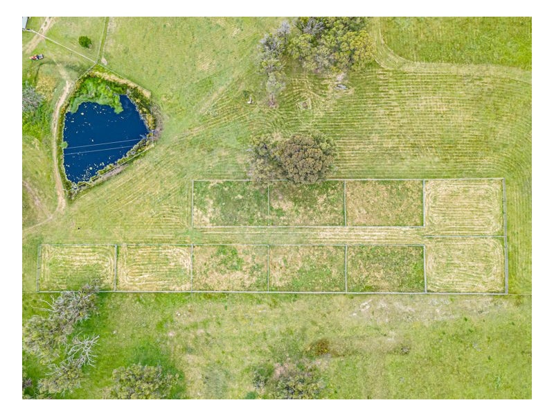 1218 Bundarra Road, Armidale NSW 2350