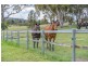 1218 Bundarra Road, Armidale NSW 2350