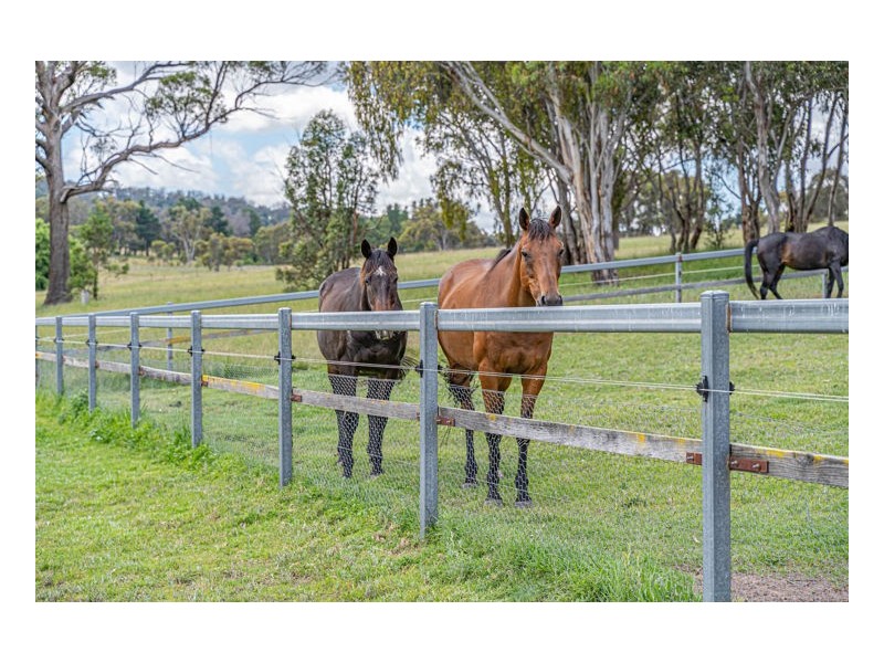 1218 Bundarra Road, Armidale NSW 2350