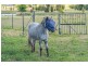 103 Tulong Road, Armidale NSW 2350