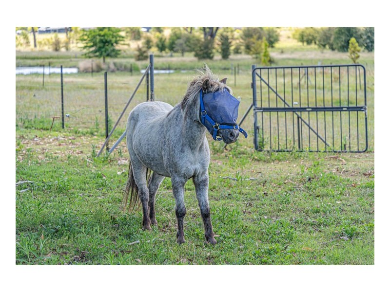 103 Tulong Road, Armidale NSW 2350