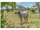 103 Tulong Road, Armidale NSW 2350