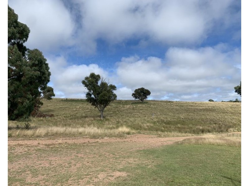 558 Linfield Road, Armidale NSW 2350