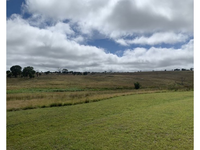 558 Linfield Road, Armidale NSW 2350