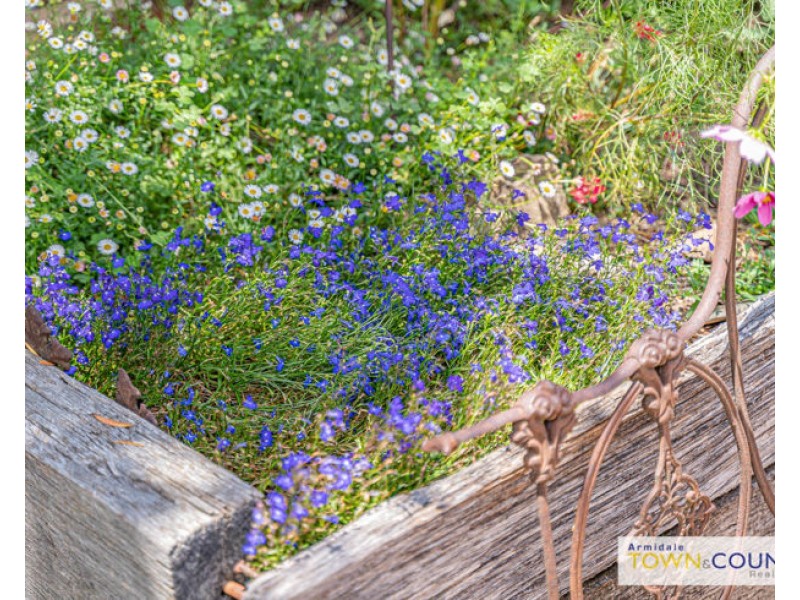 179 Jessie Street, Armidale NSW 2350