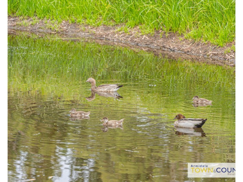 78 Coluche Road, Armidale NSW 2350