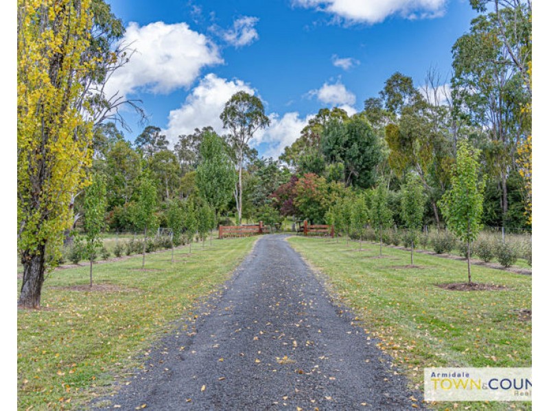 Lot 1 Alinnya Lane, Armidale NSW 2350