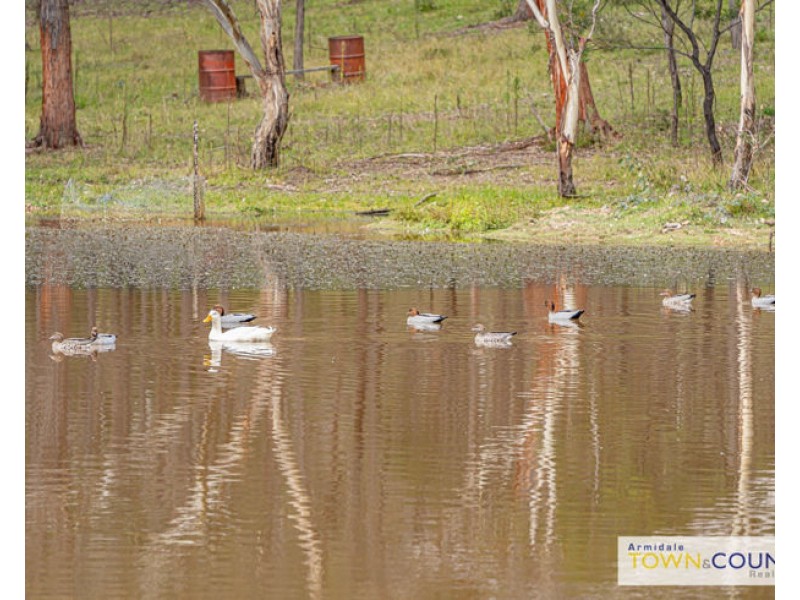 336 Herbert Park Road, Armidale NSW 2350