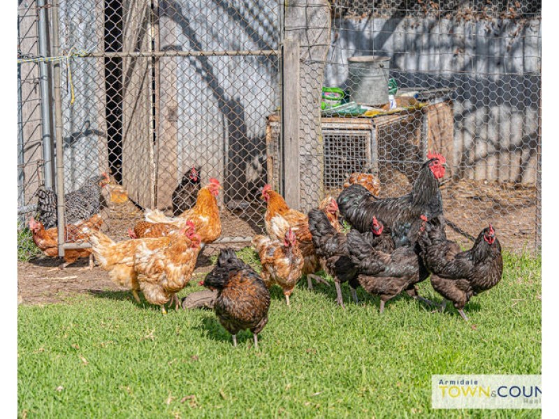 707 Bundarra Road, Armidale NSW 2350