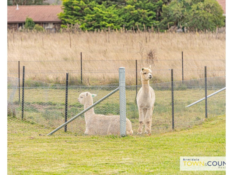 71 Dumaresq Road, Armidale NSW 2350