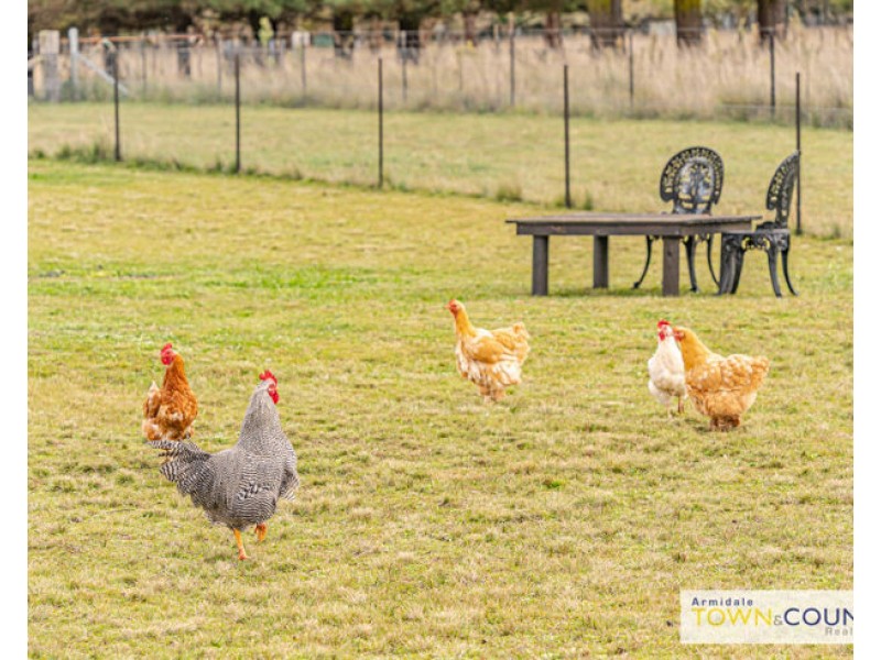 71 Dumaresq Road, Armidale NSW 2350