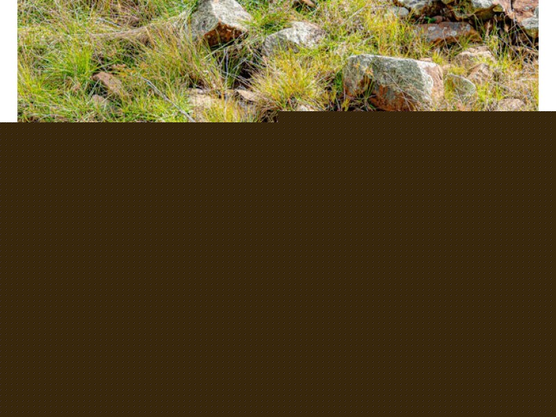 188 Kareela Road, Armidale NSW 2350