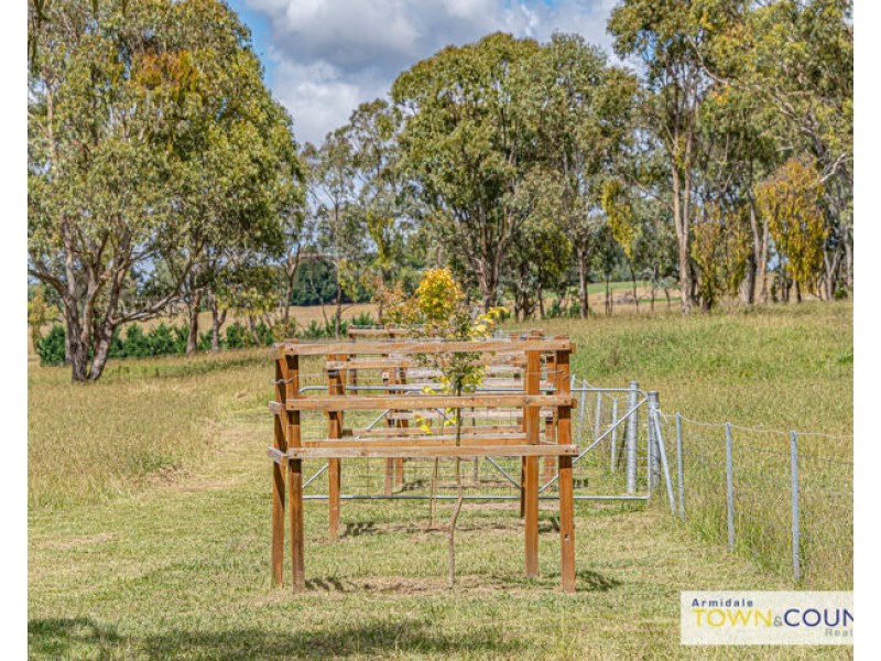 9 Alinnya Lane, Armidale NSW 2350