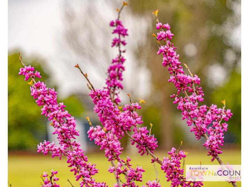 110 Marble Hill Road, Armidale NSW 2350