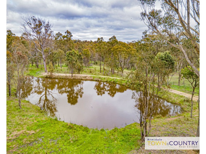 31 Bilga Road, Armidale NSW 2350