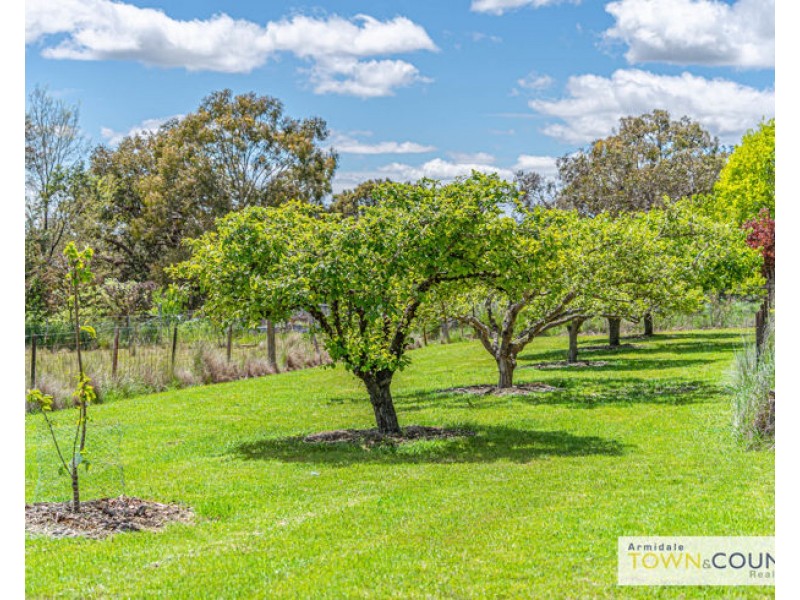 33 Yellowbox Drive, Armidale NSW 2350