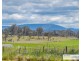 911 Castledoyle Road, Armidale NSW 2350