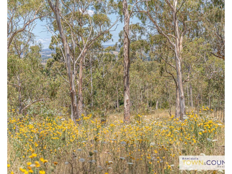 23 Imbandja Lane, Armidale NSW 2350