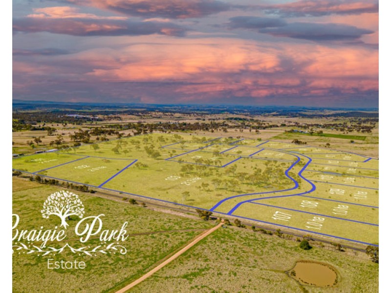Lot 117 “Craigie Park” 201 Old Gostwyck Road, Armidale NSW 2350