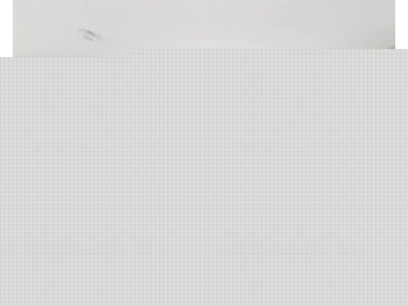 5 Birch Crescent, Armidale NSW 2350