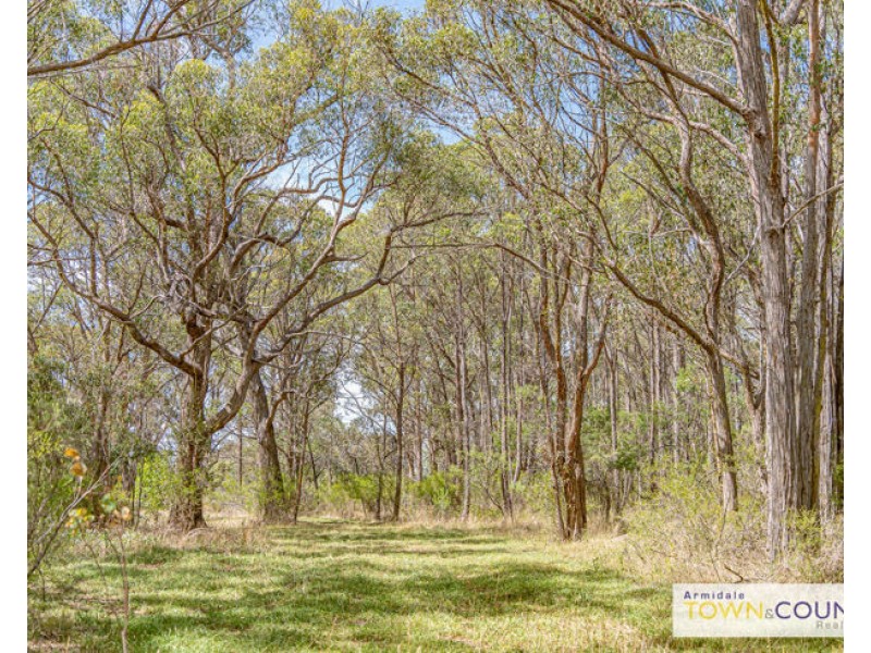 1353 Bundarra Road, Armidale NSW 2350