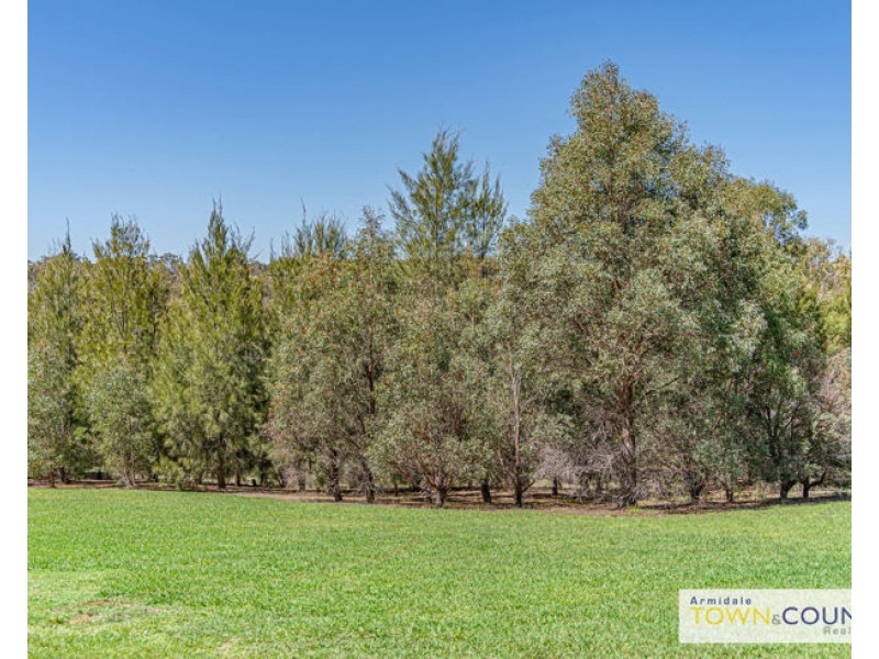 20 Edgar Street, Armidale NSW 2350