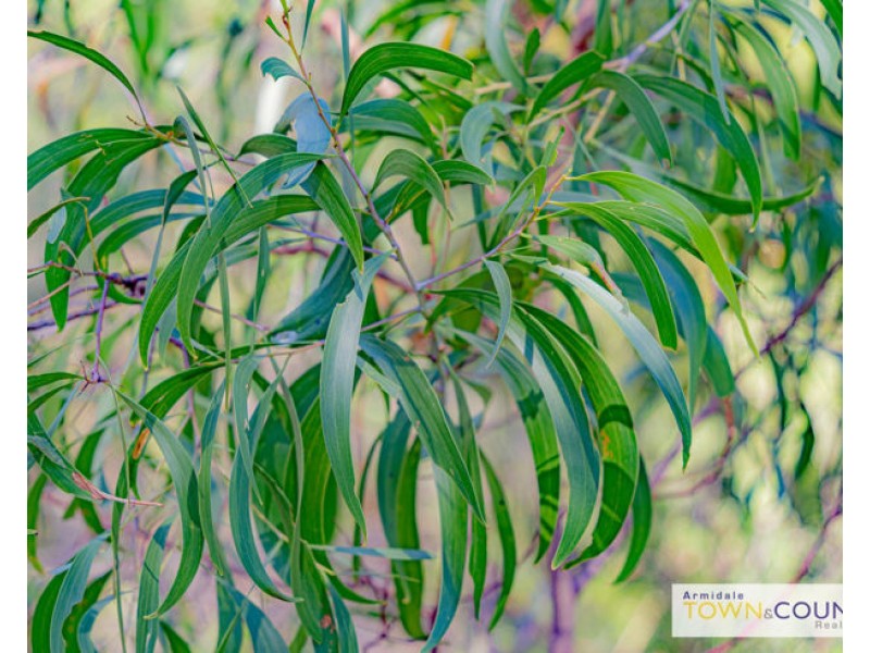 122 Cookes Road, Armidale NSW 2350