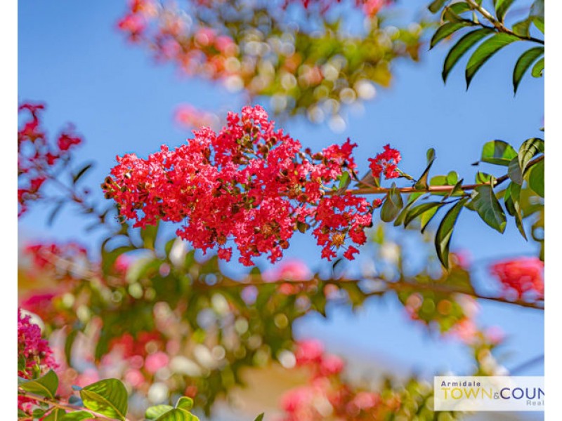 1 Bona Vista Road, Armidale NSW 2350