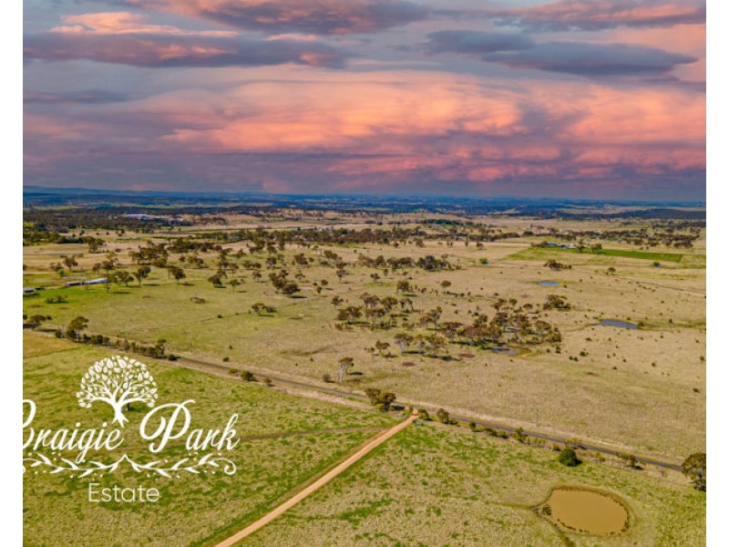 lot 110 “Craigie Park” 201 Old Gostwyck Road, Armidale NSW 2350