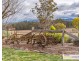 52 Budumba Road, Armidale NSW 2350