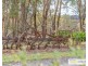 52 Budumba Road, Armidale NSW 2350
