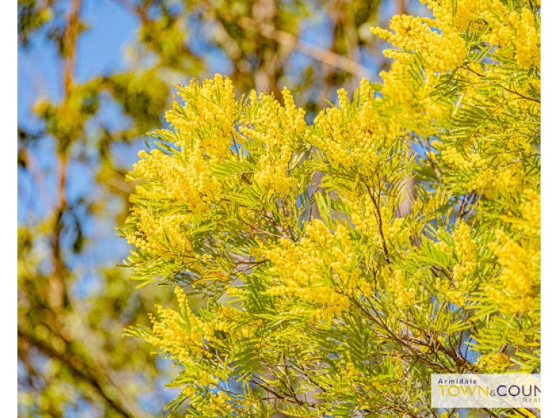 2166 Long Point Road, Armidale NSW 2350