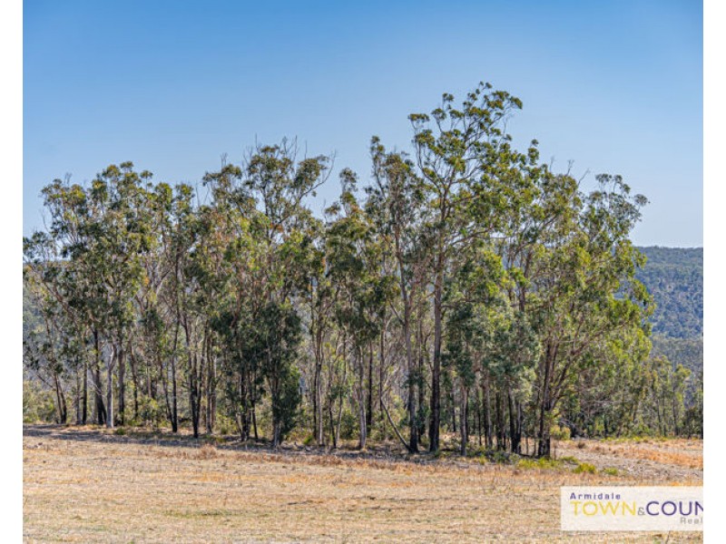2166 Long Point Road, Armidale NSW 2350