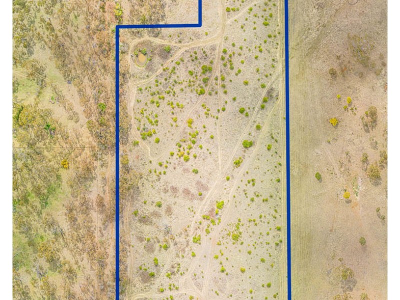 53C The Avenue, Armidale NSW 2350