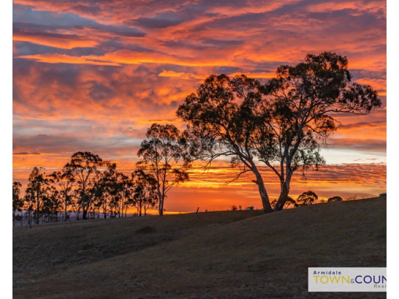 53C The Avenue, Armidale NSW 2350