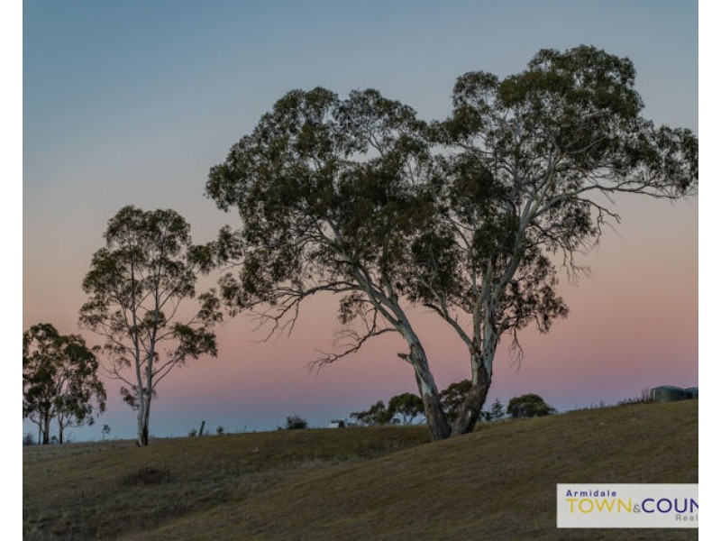 53C The Avenue, Armidale NSW 2350