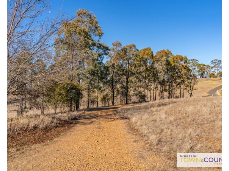 53C The Avenue, Armidale NSW 2350