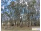 1239 Bundarra Road, Armidale NSW 2350