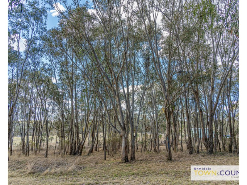 1239 Bundarra Road, Armidale NSW 2350