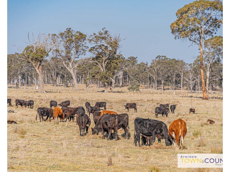 133 Lochaven Road, Armidale NSW 2350