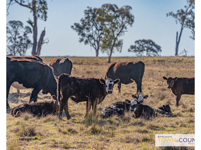 133 Lochaven Road, Armidale NSW 2350