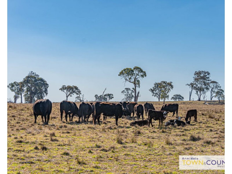 133 Lochaven Road, Armidale NSW 2350